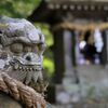 佐賀県　武雄神社狛犬