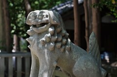 狛犬　阿