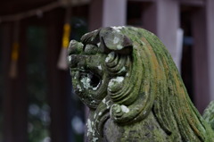 狛犬（吽）五社神社