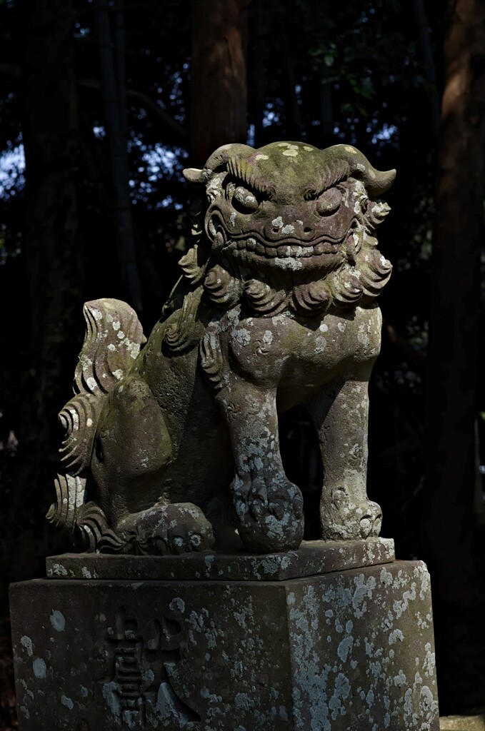 狛犬