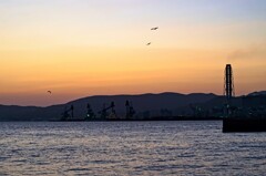 松浦市御厨港