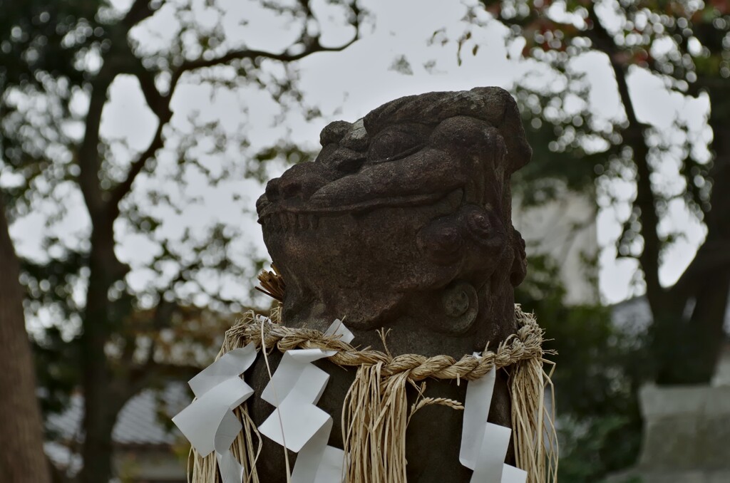 狛犬吽　　住吉神社（春日市）