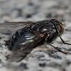 嫌われ者ですが何か？