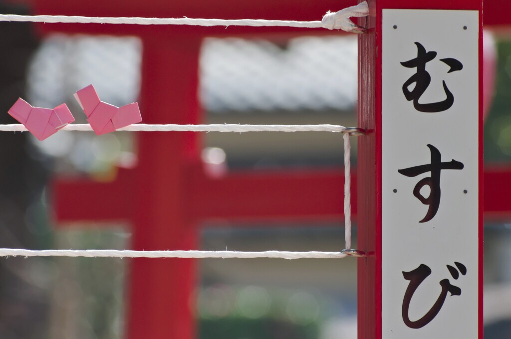 恋木神社　おみくじ
