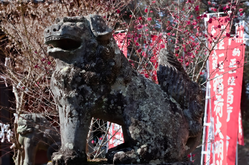 狛犬　月隈神社
