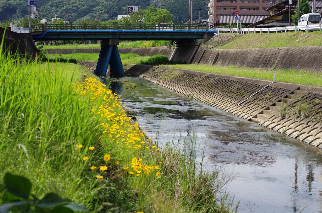 春の小川