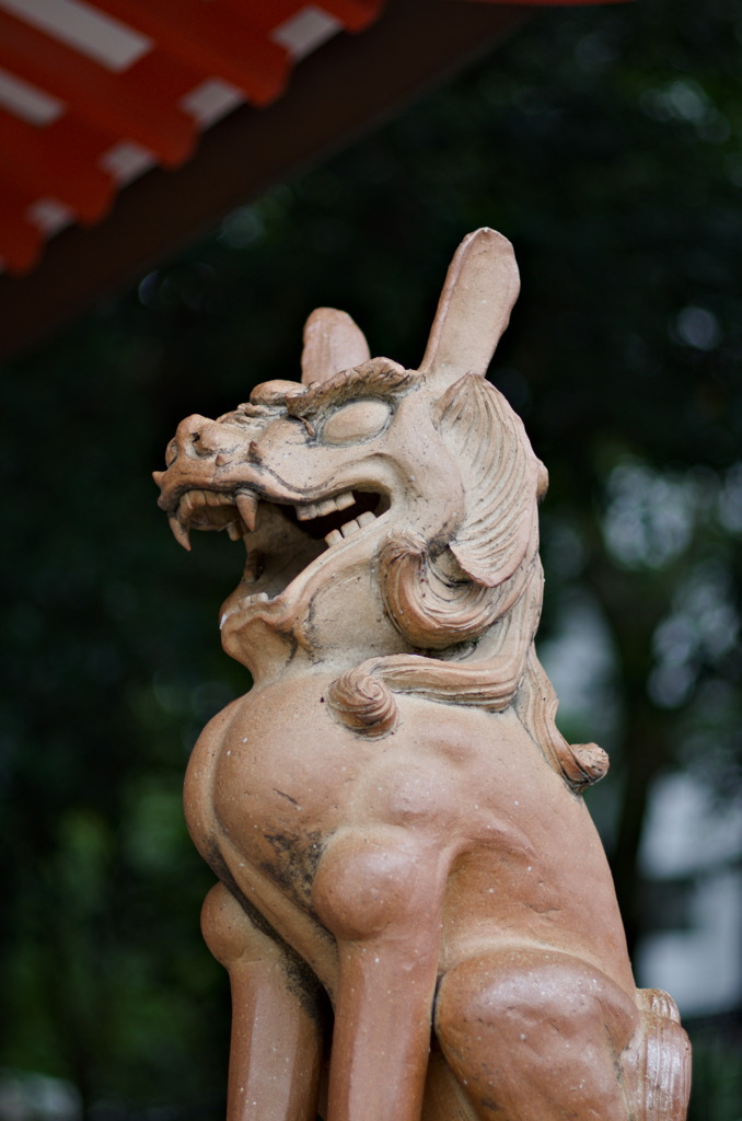 生田神社狛犬