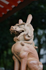 生田神社狛犬