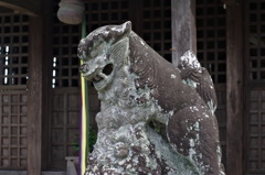 狛犬