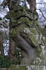恵蘇八幡宮の狛犬
