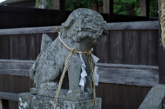 嬉野市の狛犬１