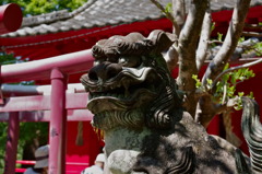 狛犬