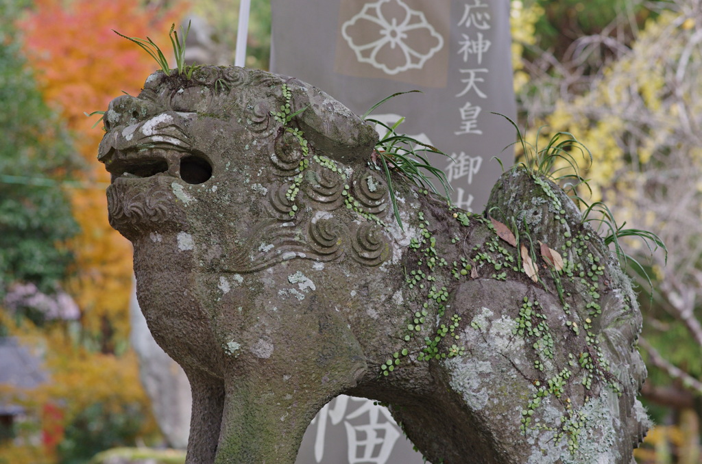 狛犬