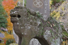 狛犬