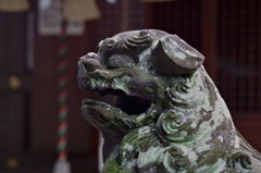 五社神社狛犬