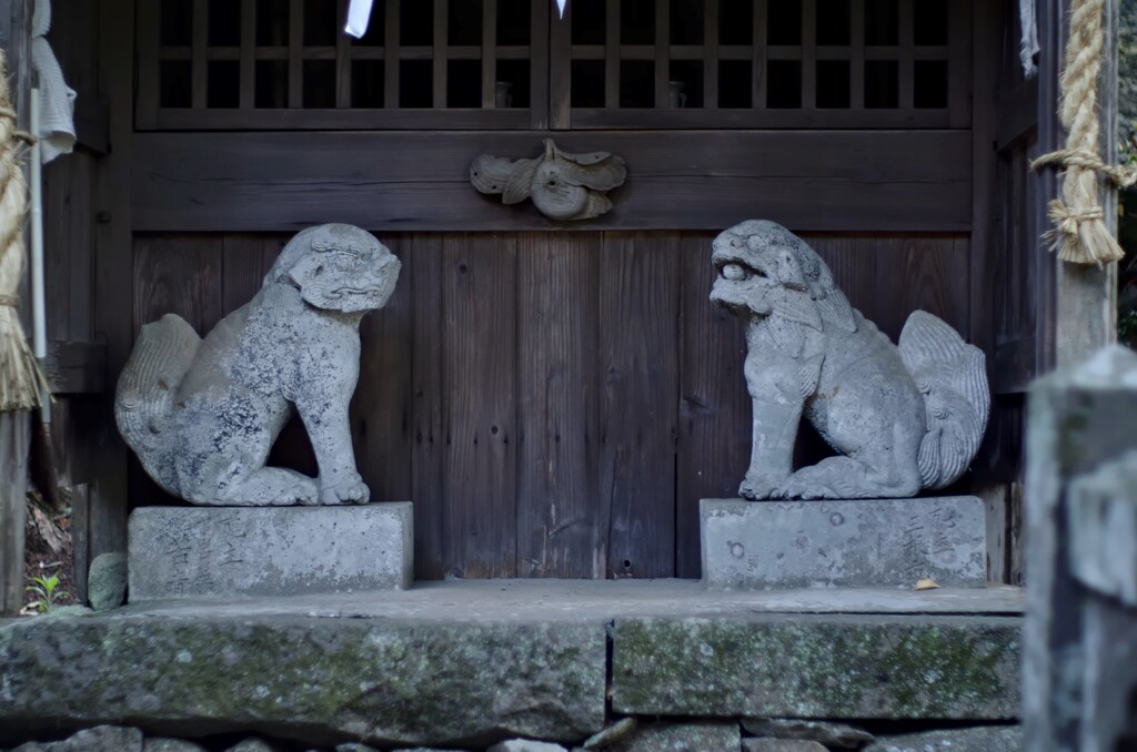 嬉野市の狛犬