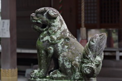 狛犬（阿）五社神社
