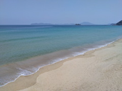 姉子浜
