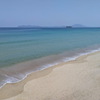 姉子浜