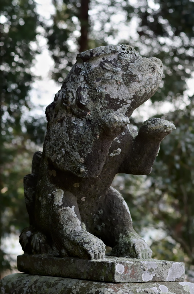 朝倉市　阿蘇神社