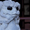 狛犬　太宰府天満宮