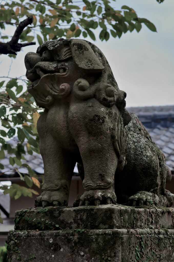 狛犬