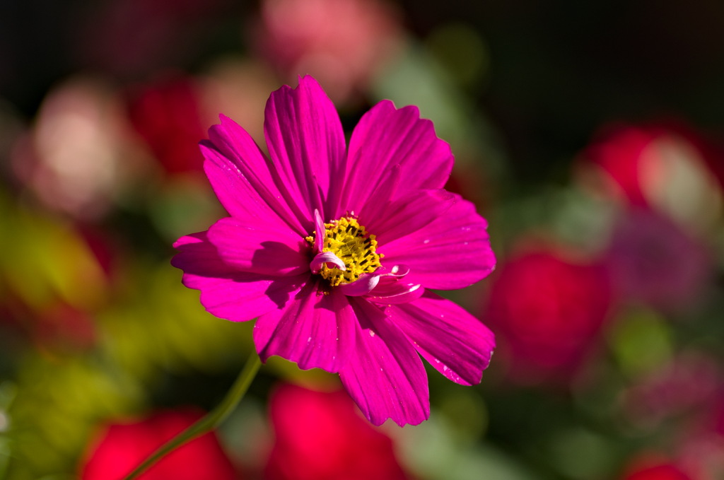 季節の変わり目