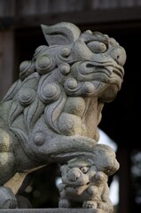 皆様明けましておめでとうございます！