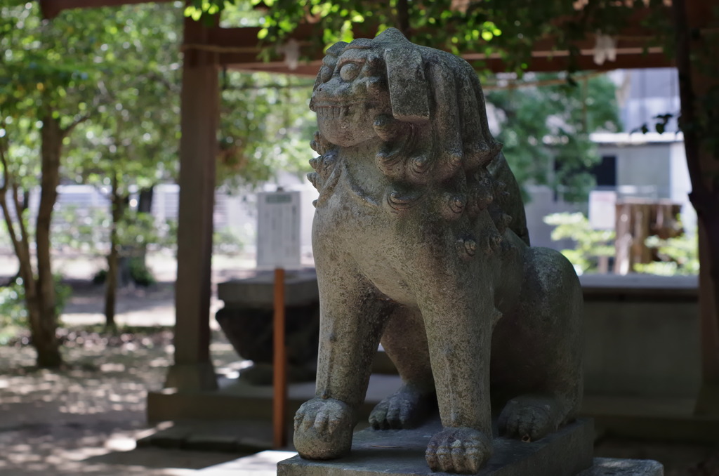 熊野神社狛犬　吽