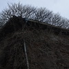 蔓延る