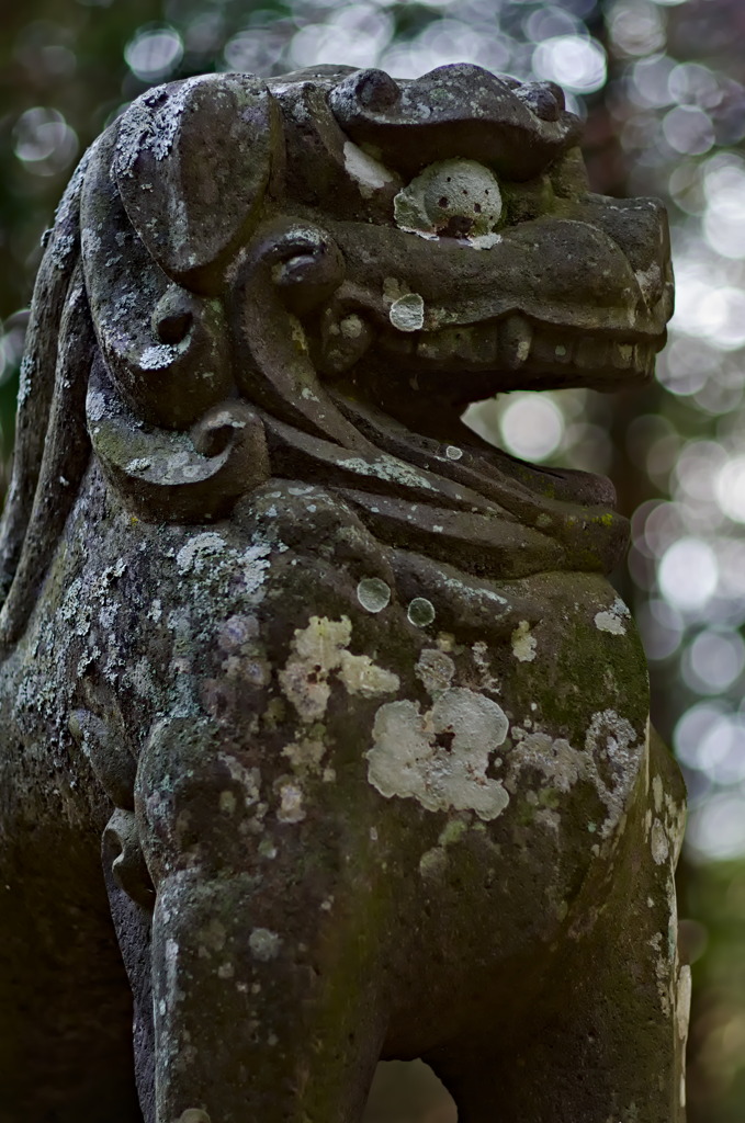 阿蘇神社の狛犬