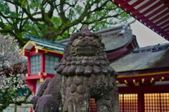 狛犬　太宰府天満宮