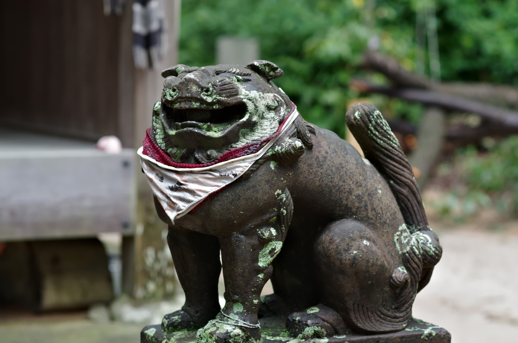 狛犬（阿）照天神社