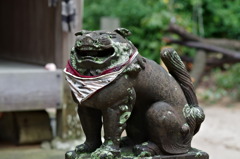 狛犬（阿）照天神社