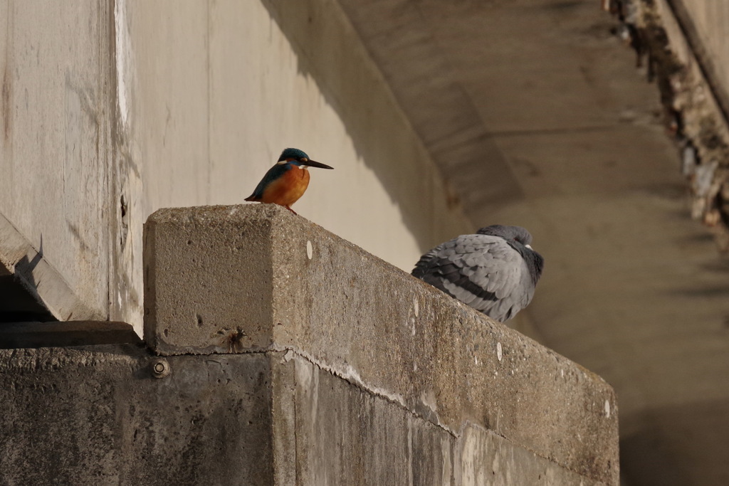 パーソナルスペース