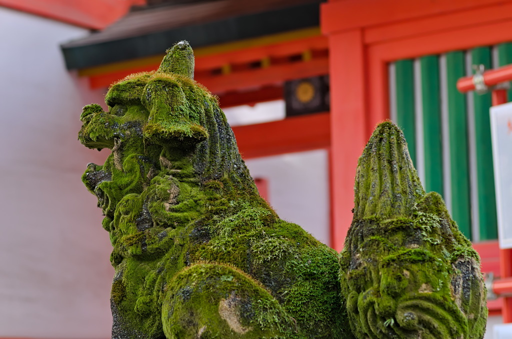 狛犬　筑前住吉神社