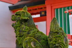 狛犬　筑前住吉神社