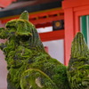 狛犬　筑前住吉神社