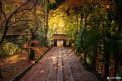 山奥の紅葉寺