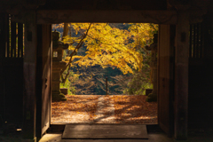 紅葉を迎えに