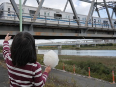 電車とわたがし
