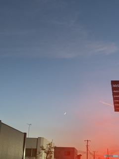 見上げた月が綺麗と教えたくなった