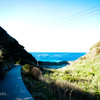 Sidewalk to the sea