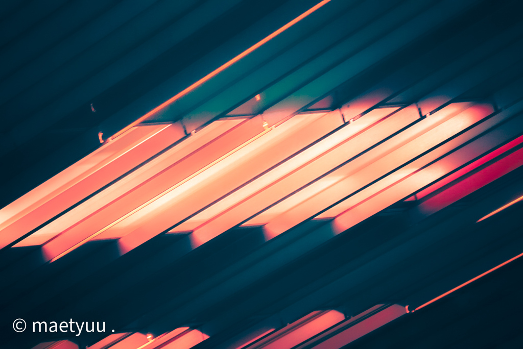 ////////////