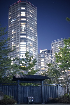 夜間散歩