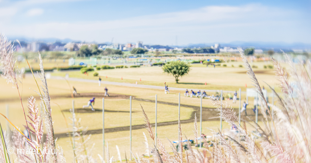 野球の夢