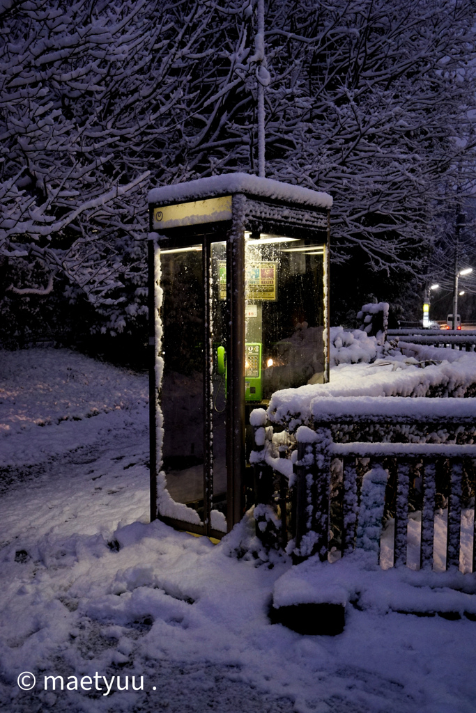 雪が降った日-3