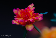 火花