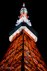 赤い鉄塔-1