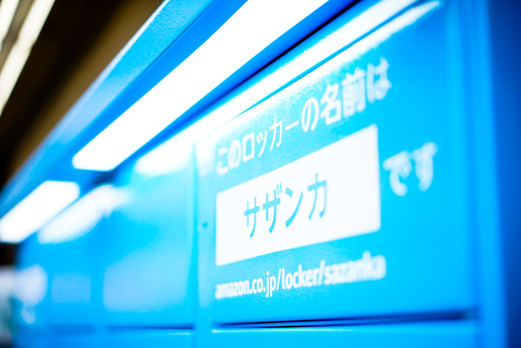 サザンカ（山茶花、学名: Camellia sasanqua）